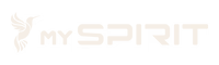 MySpirit24 Logo
